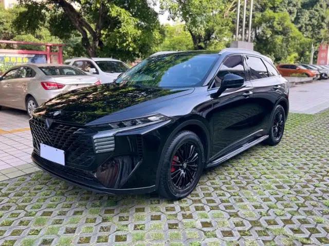 Venucia V 2022 260T Black Horse Edition · Idol