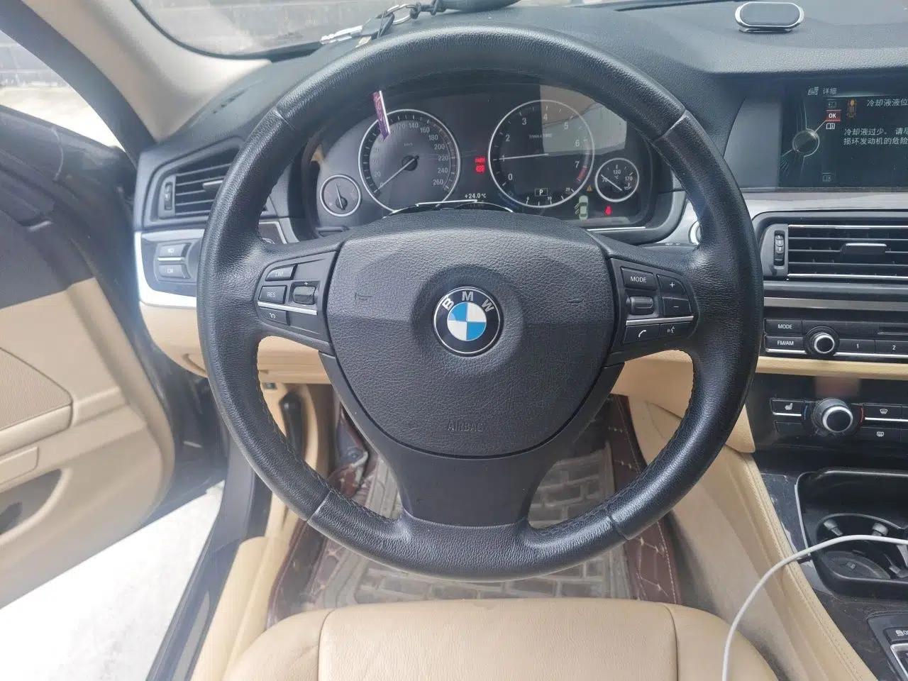 BMW 5 Series 2013 525Li Luxury Model — миниатюра 10