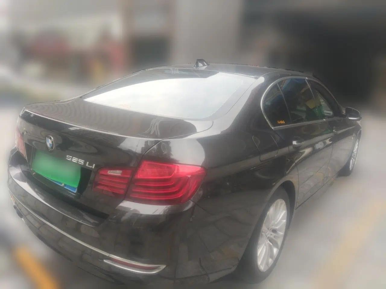 BMW 5 Series 2014 525Li Luxury Design Package — миниатюра 6