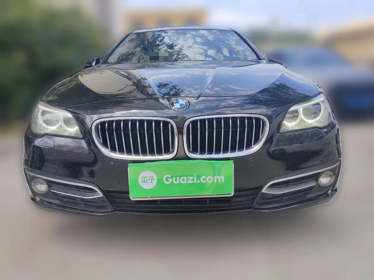 BMW 5 Series 2014 525Li Luxury Design Package — миниатюра 2