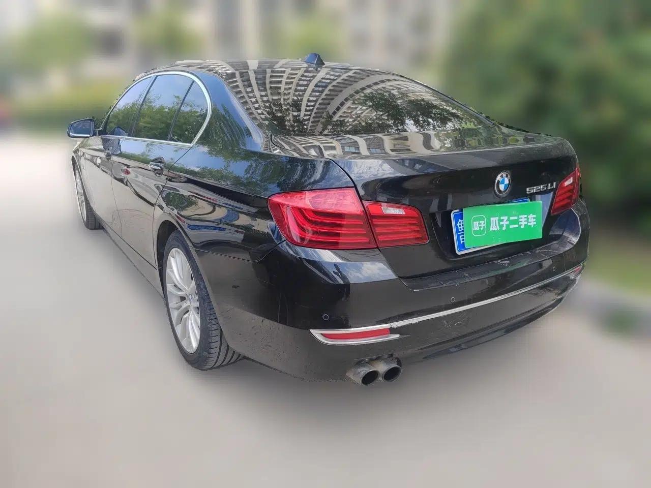 BMW 5 Series 2014 525Li Luxury Design Package — миниатюра 4