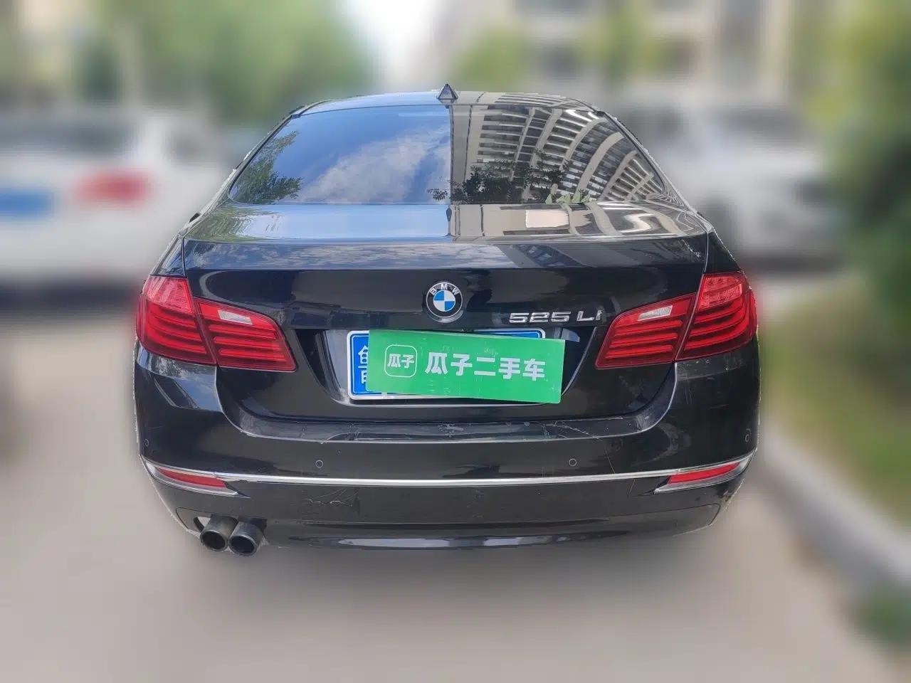 BMW 5 Series 2014 525Li Luxury Design Package — миниатюра 5