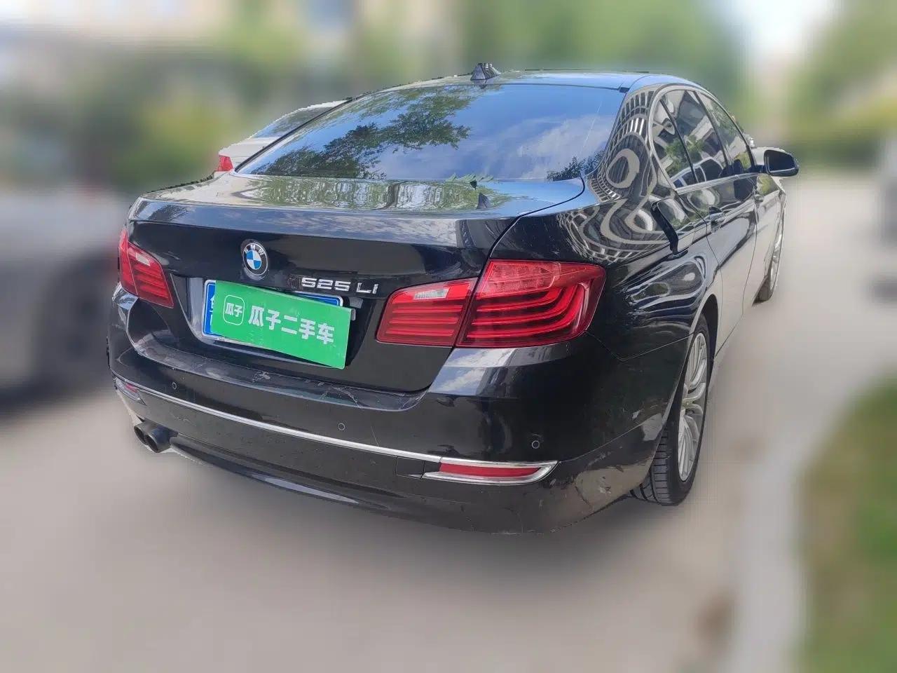 BMW 5 Series 2014 525Li Luxury Design Package — миниатюра 6