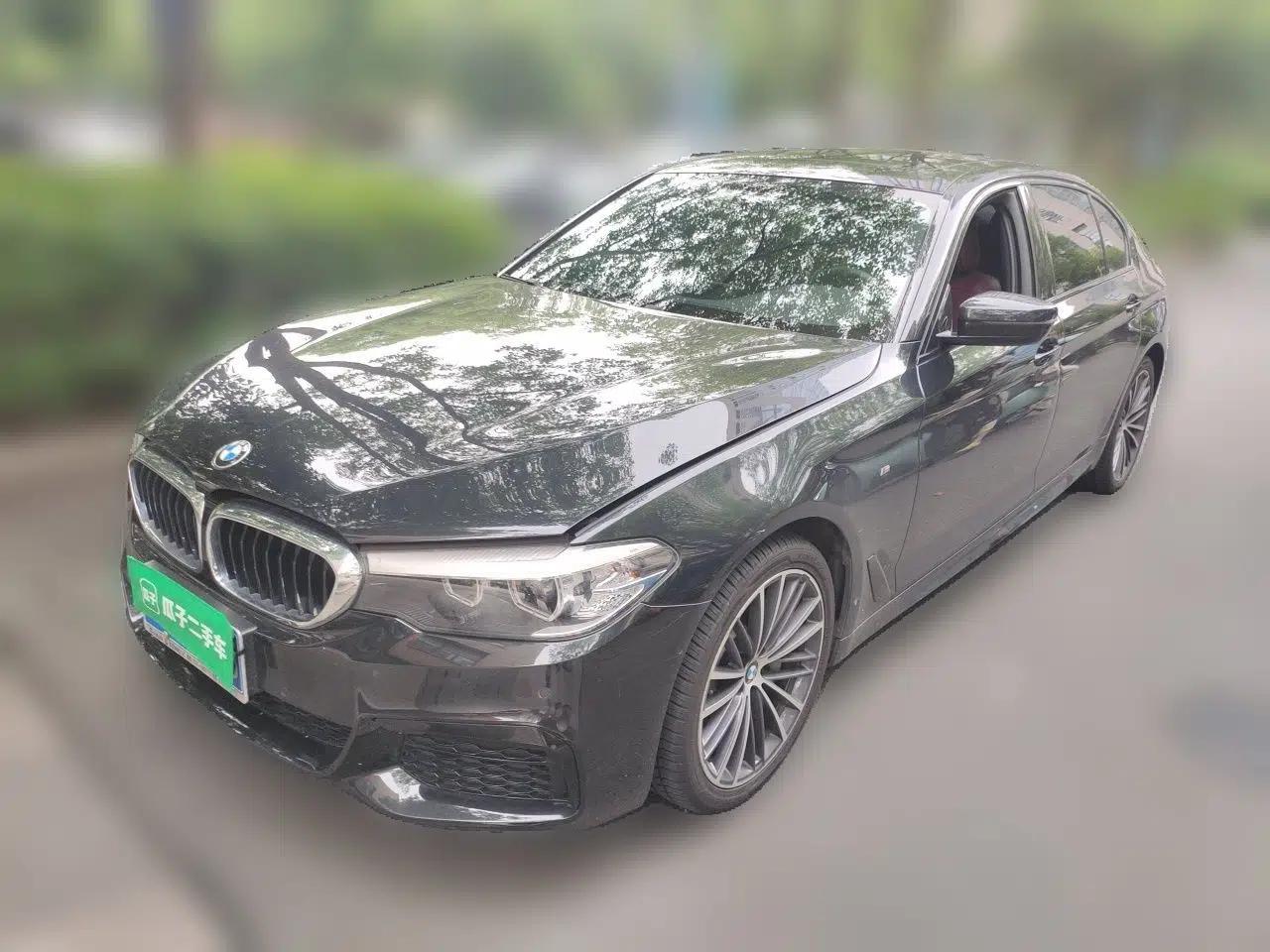 BMW 5 Series 2019 Facelifted 530Li Leading Edition M Sport Package — миниатюра 1