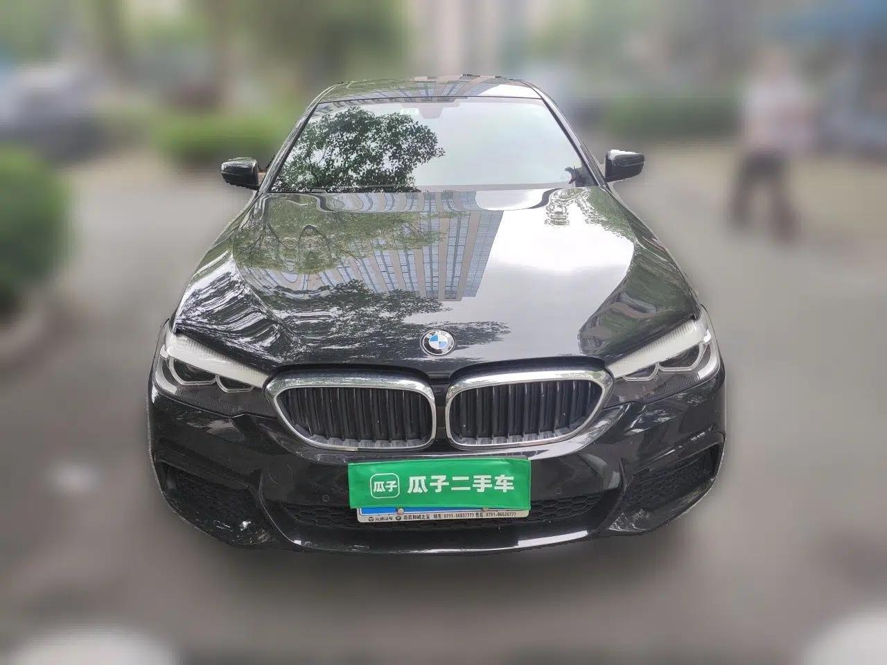 BMW 5 Series 2019 Facelifted 530Li Leading Edition M Sport Package — миниатюра 2