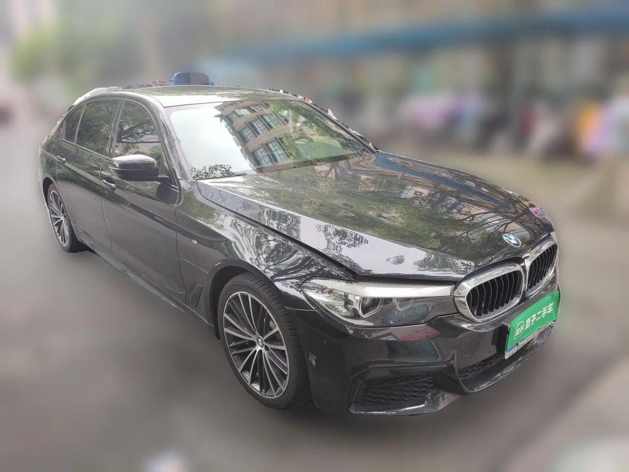 BMW 5 Series 2019 Facelifted 530Li Leading Edition M Sport Package — миниатюра 3