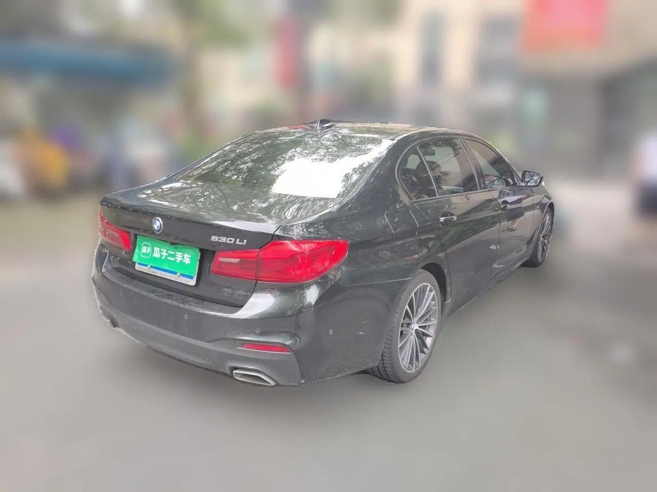 BMW 5 Series 2019 Facelifted 530Li Leading Edition M Sport Package — миниатюра 6