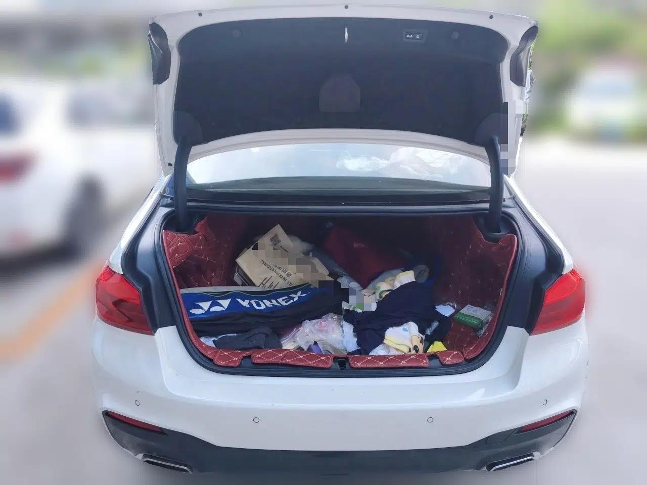 BMW 5 Series 2020 530Li Luxury Edition M Sport Package — миниатюра 19