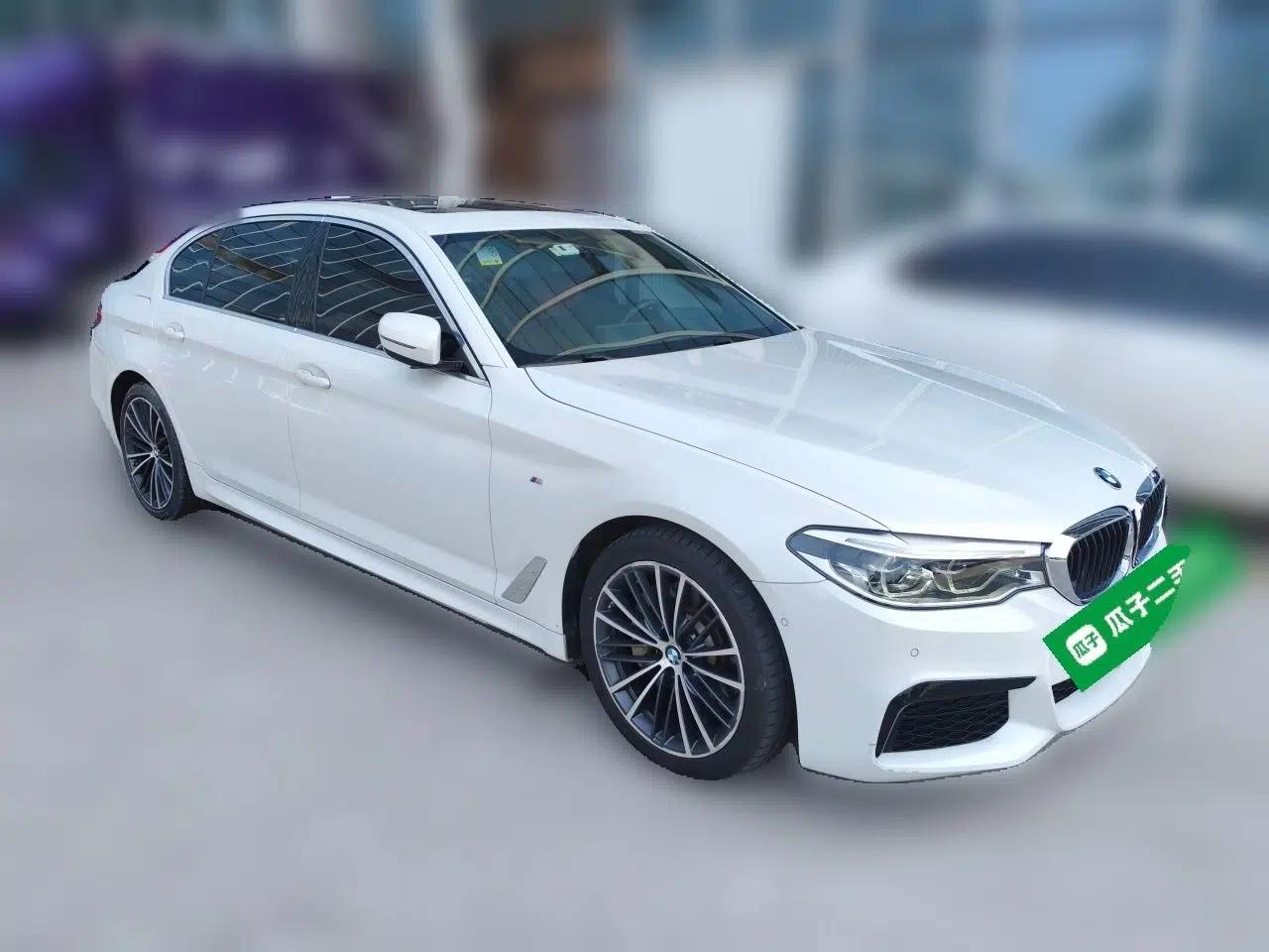 BMW 5 Series 2020 530Li Luxury Edition M Sport Package — миниатюра 3