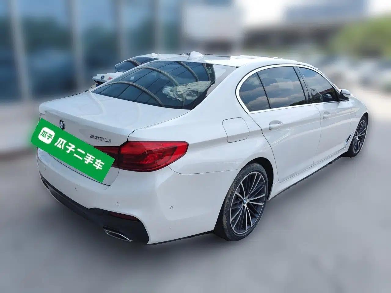 BMW 5 Series 2020 530Li Luxury Edition M Sport Package — миниатюра 6