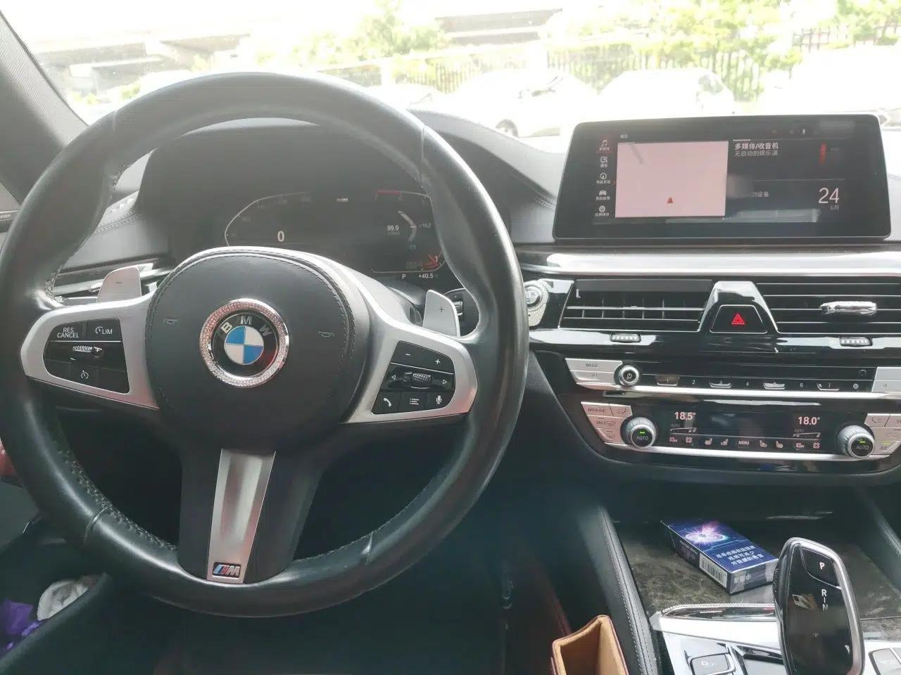 BMW 5 Series 2020 530Li Luxury Edition M Sport Package — миниатюра 9