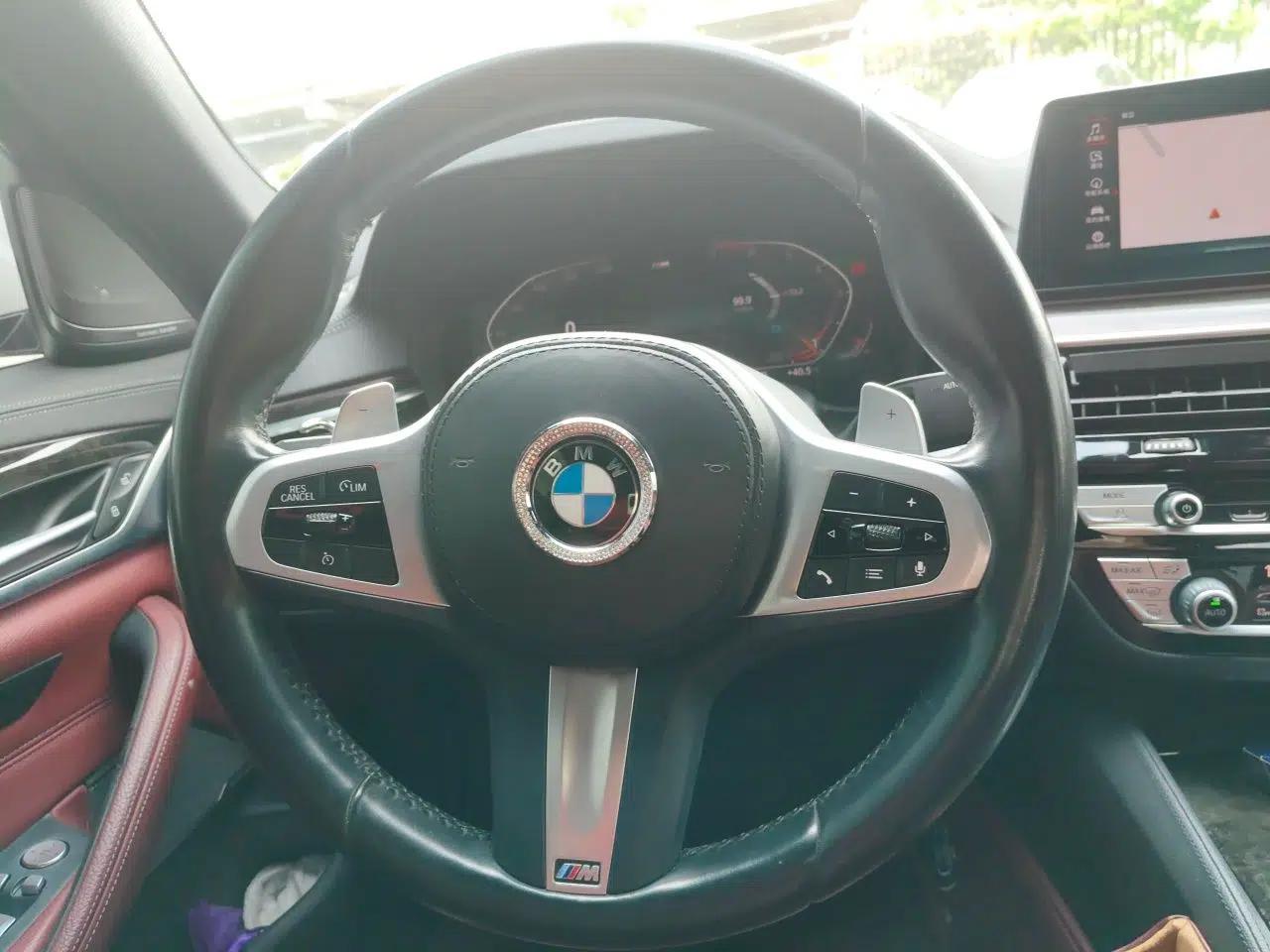 BMW 5 Series 2020 530Li Luxury Edition M Sport Package — миниатюра 10
