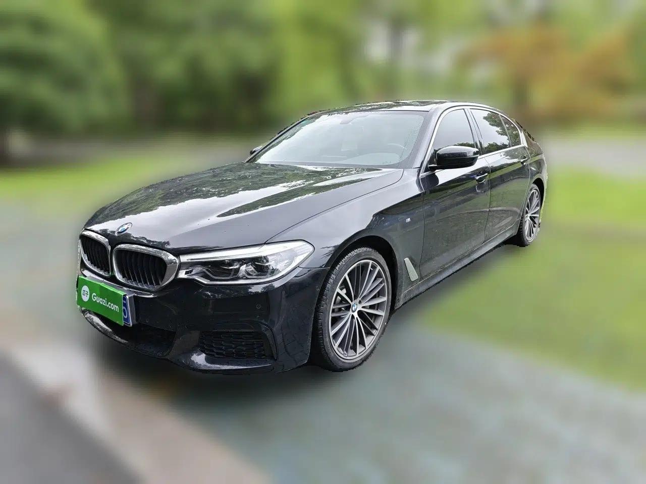 BMW 5 Series 2020 530Li Leading Model M Sport Package — миниатюра 1
