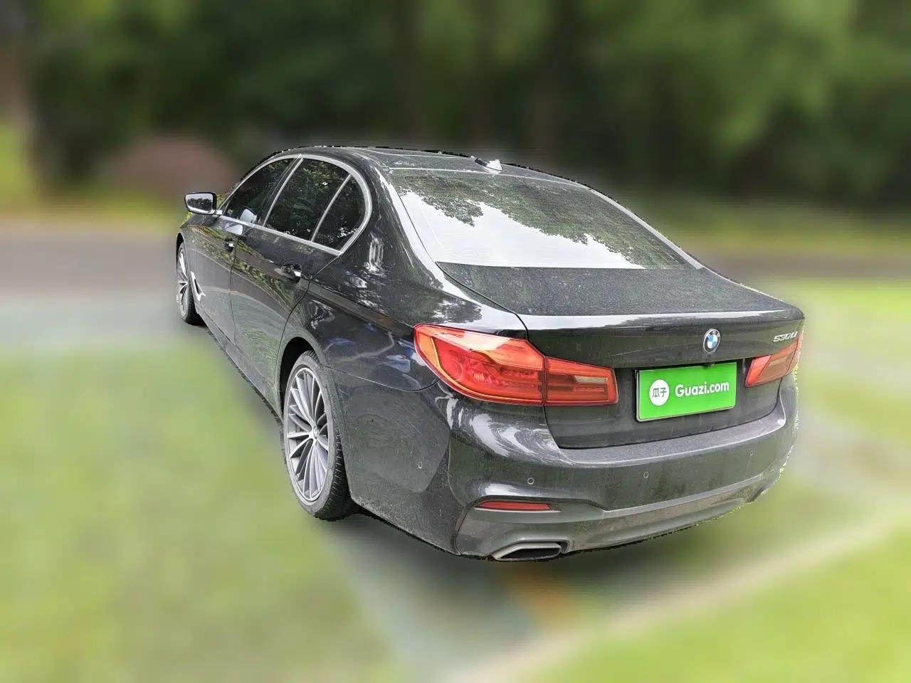 BMW 5 Series 2020 530Li Leading Model M Sport Package — миниатюра 4