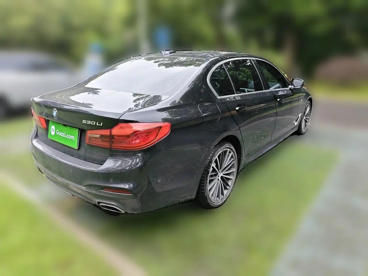 BMW 5 Series 2020 530Li Leading Model M Sport Package — миниатюра 6