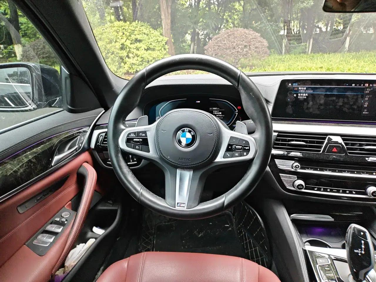 BMW 5 Series 2020 530Li Leading Model M Sport Package — миниатюра 10