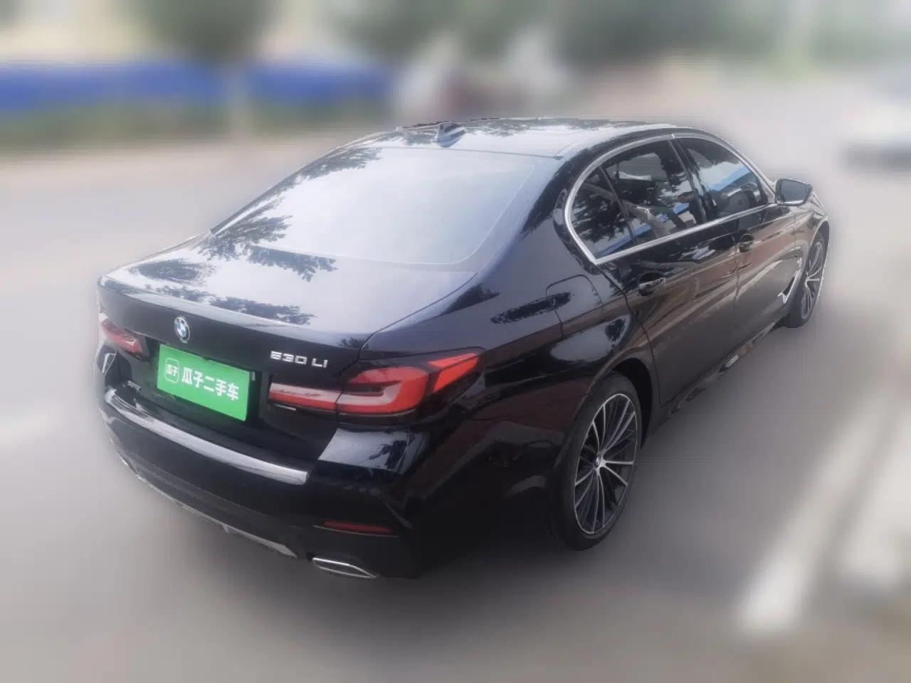 BMW 5 Series 2023 530Li xDrive M Sport Package — миниатюра 6