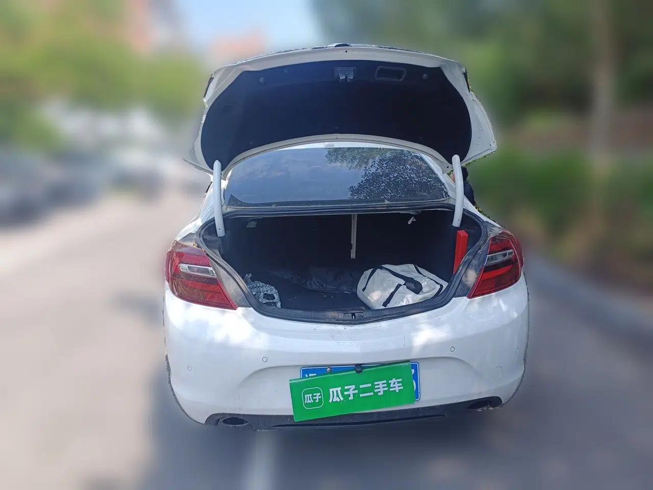 Buick Regal 2014 2.0L Leading Fashion Edition — миниатюра 19