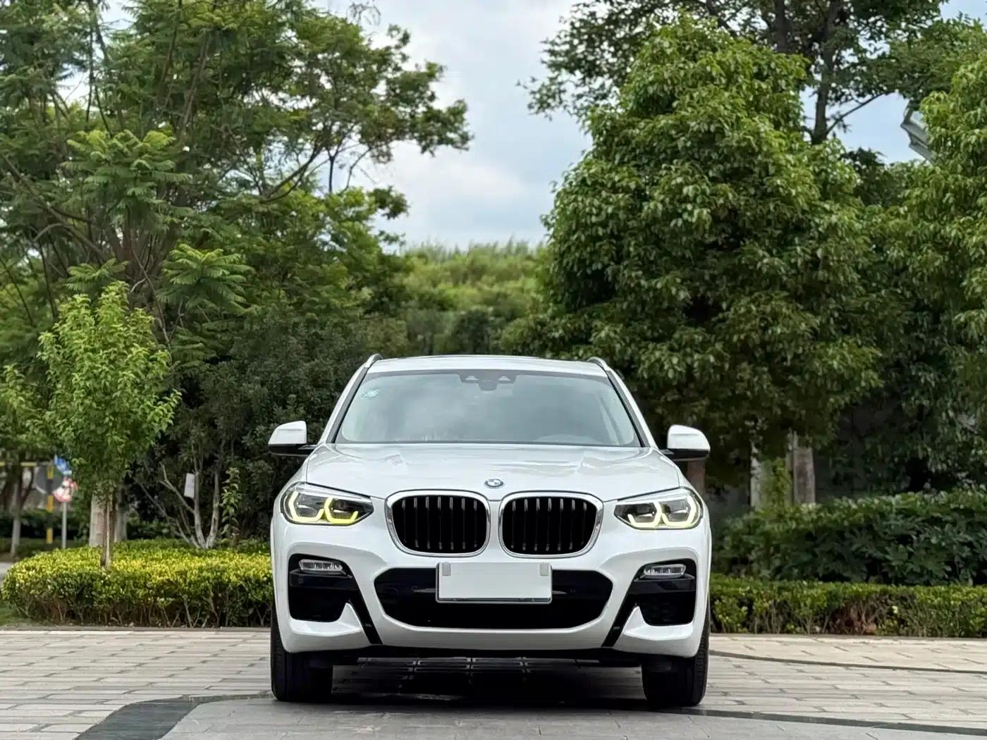 BMW X3 2018 xDrive25i M Sport Package (China VI Emission Standard) — миниатюра 2
