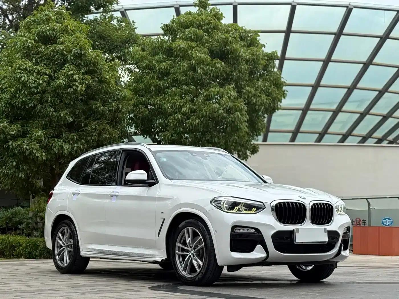 BMW X3 2018 xDrive25i M Sport Package (China VI Emission Standard) — миниатюра 3