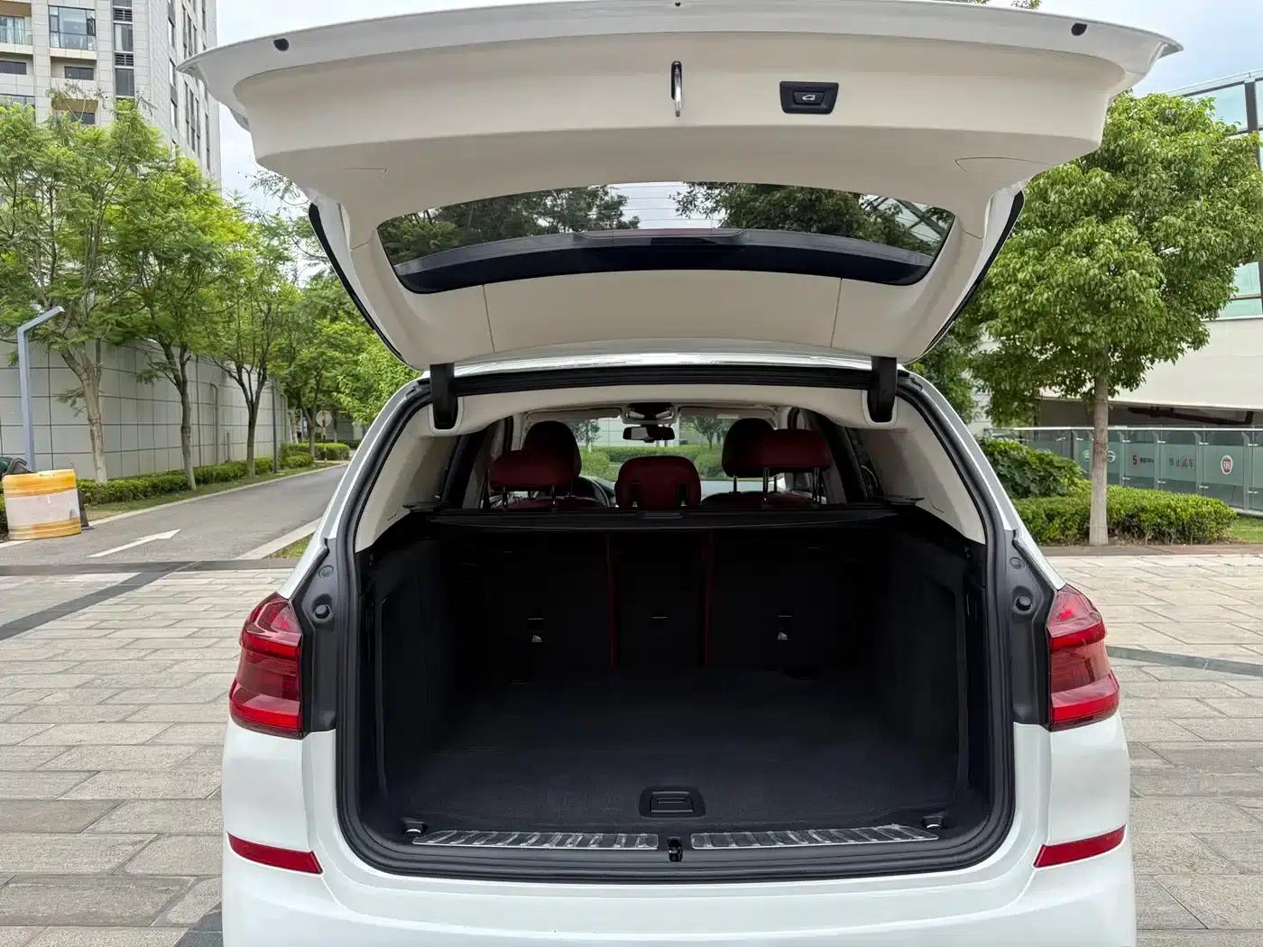 BMW X3 2018 xDrive25i M Sport Package (China VI Emission Standard) — миниатюра 38