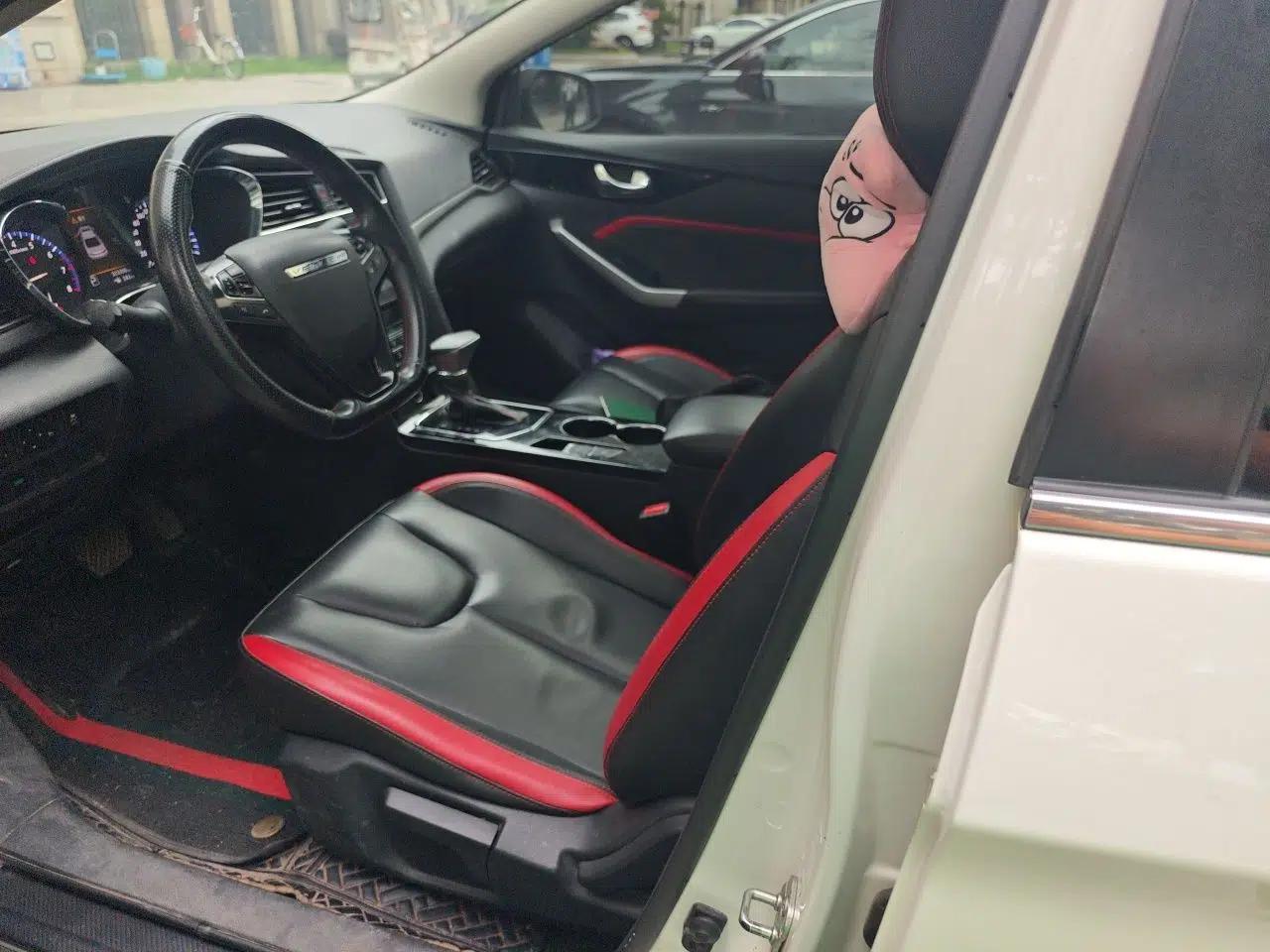 Venucia D60 2020 1.6L XL CVT Enjoyment Edition — миниатюра 15