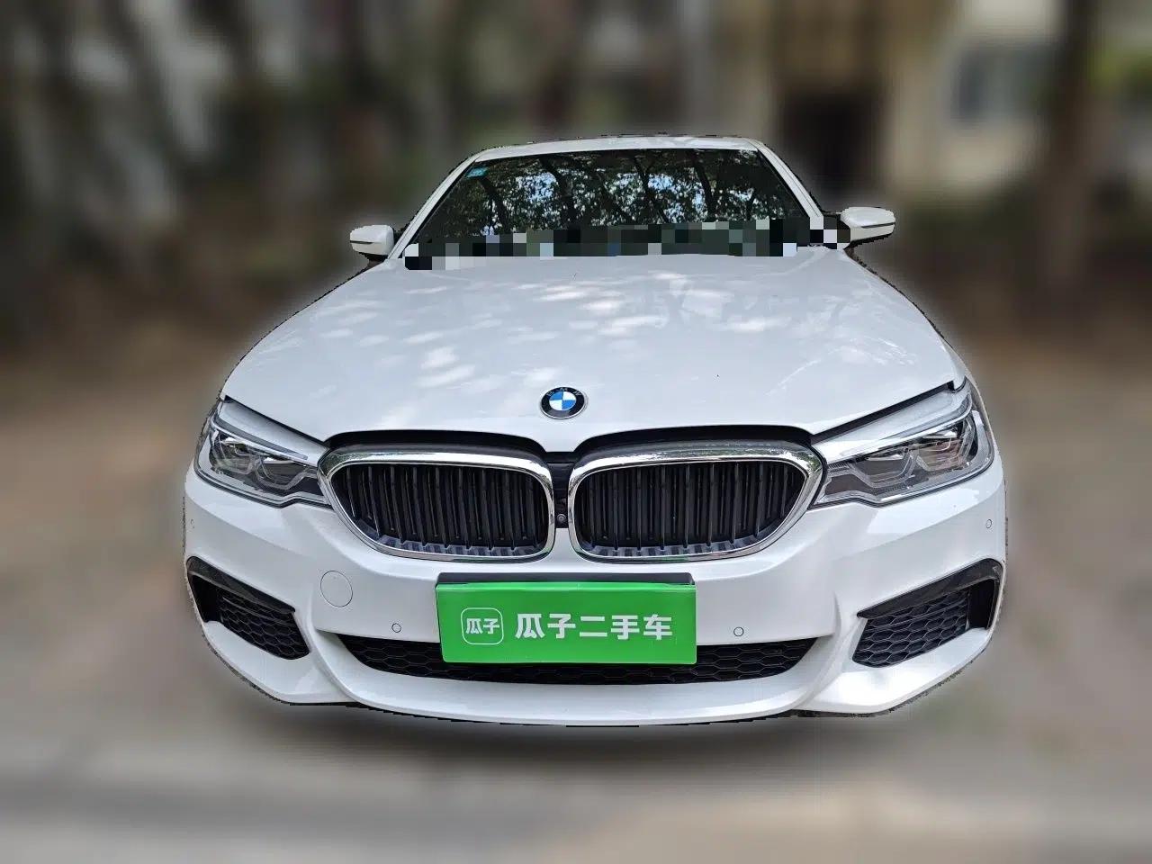 BMW 5 Series 2020 530Li Luxury Edition M Sport Package — миниатюра 2