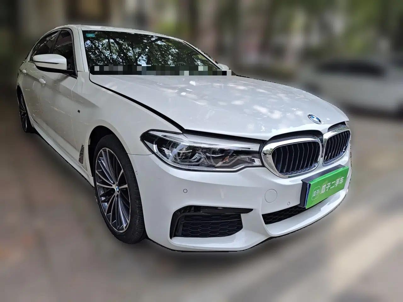 BMW 5 Series 2020 530Li Luxury Edition M Sport Package — миниатюра 3