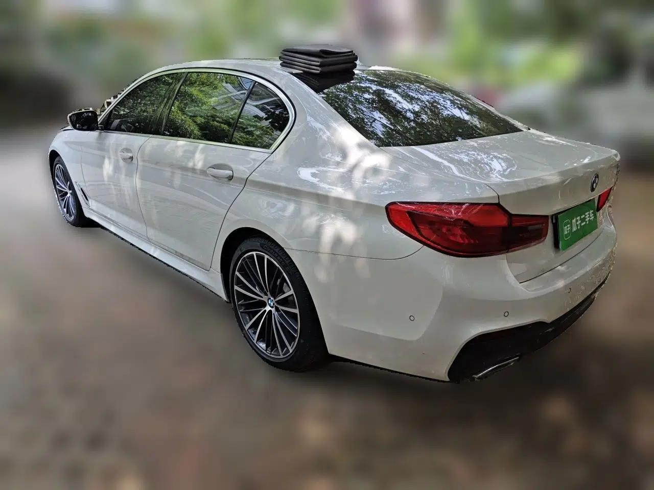 BMW 5 Series 2020 530Li Luxury Edition M Sport Package — миниатюра 4