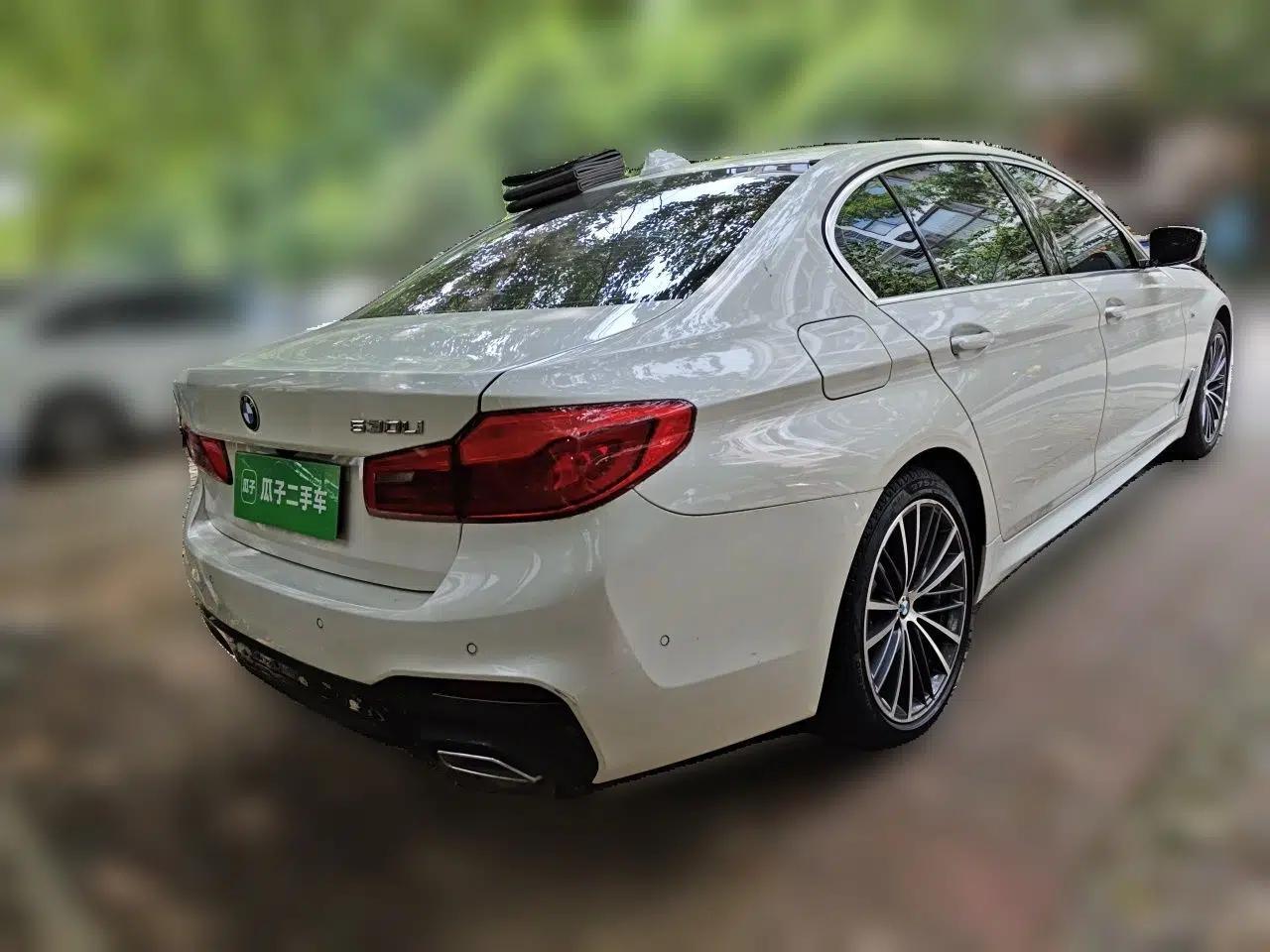 BMW 5 Series 2020 530Li Luxury Edition M Sport Package — миниатюра 6