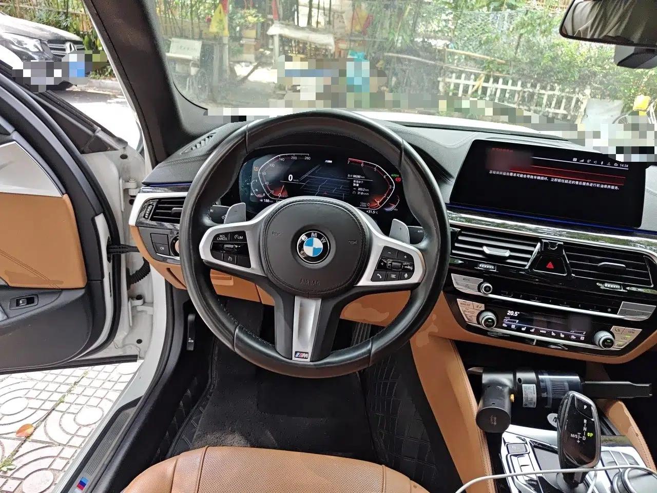 BMW 5 Series 2020 530Li Luxury Edition M Sport Package — миниатюра 10
