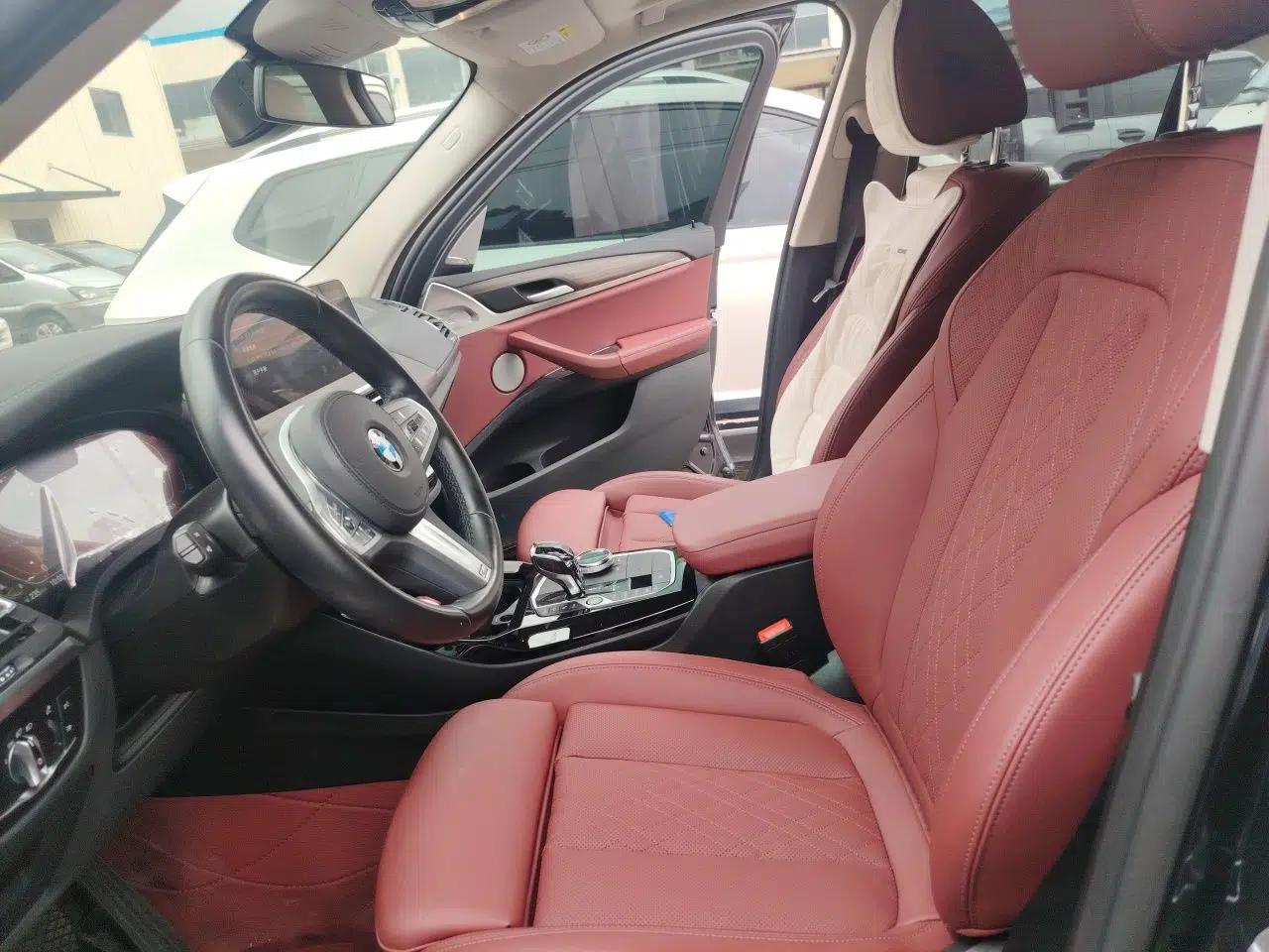 BMW X3 2022 xDrive30i Luxury Model M Night Sky Package — миниатюра 15