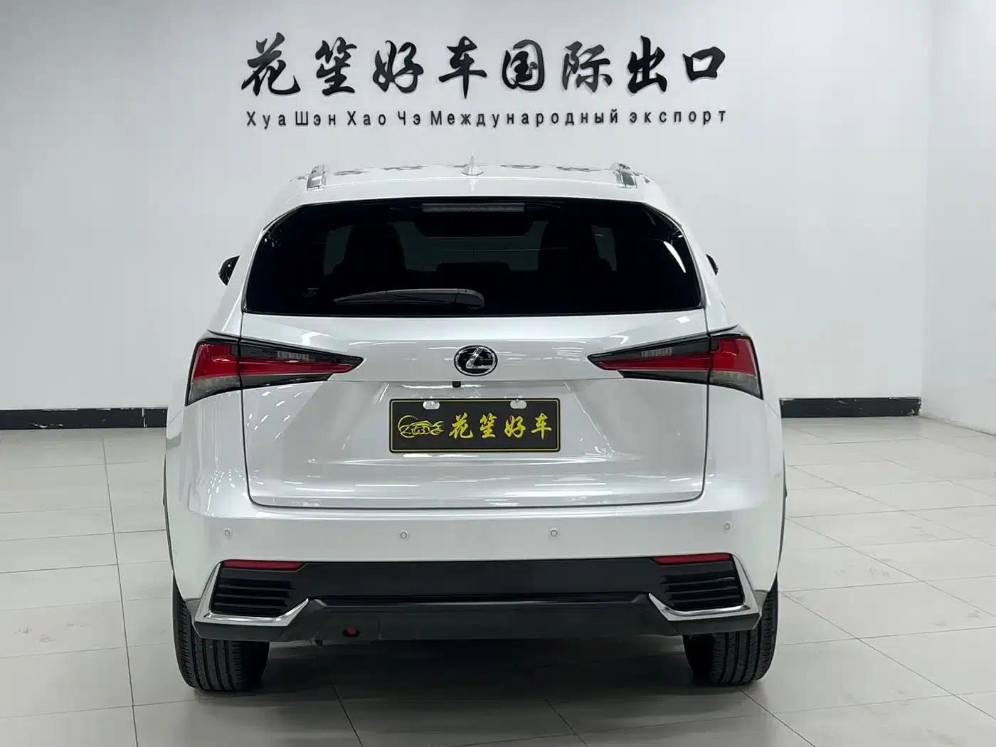 Lexus NX 2020 200 AWD Sport Edition (China V Emission Standard) — миниатюра 6