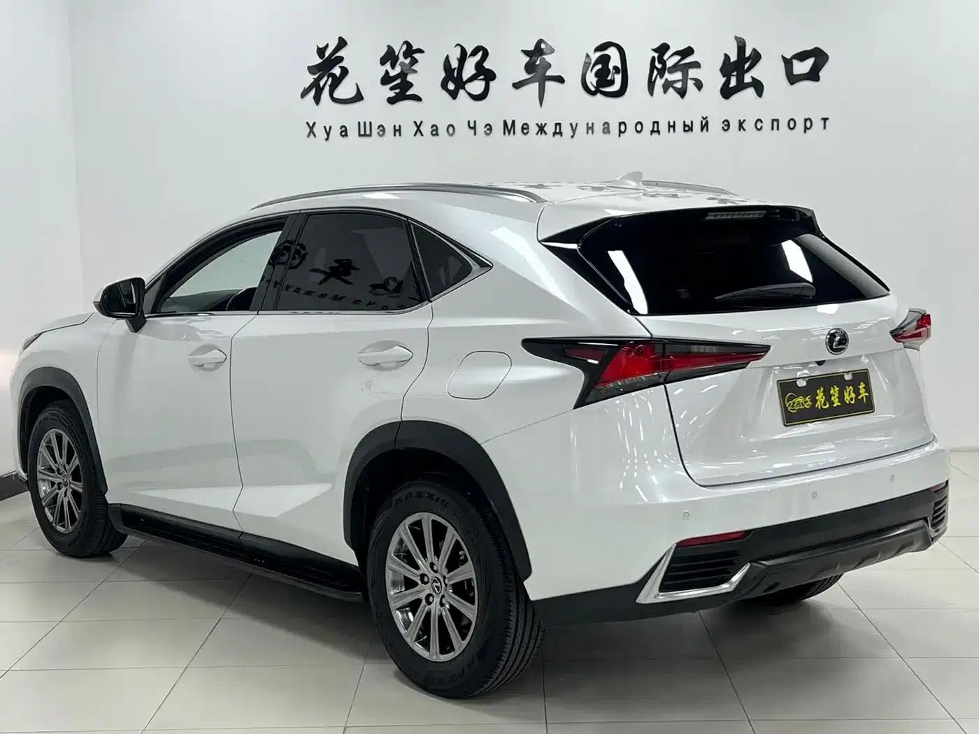 Lexus NX 2020 200 AWD Sport Edition (China V Emission Standard) — миниатюра 7
