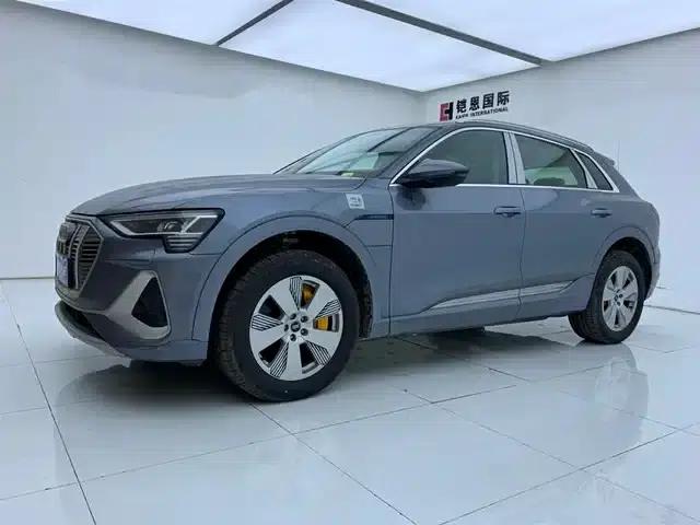 Audi e-tron 2021 50 quattro Luxury