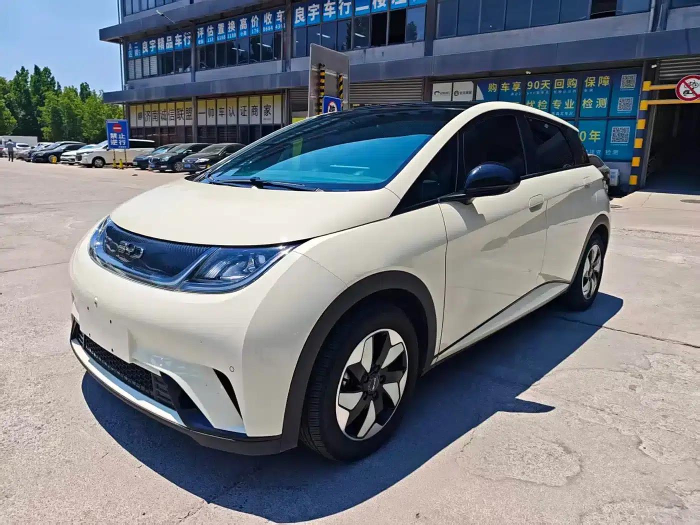 Dolphin 2024 Glory Edition 420km Fashion Edition — миниатюра 1