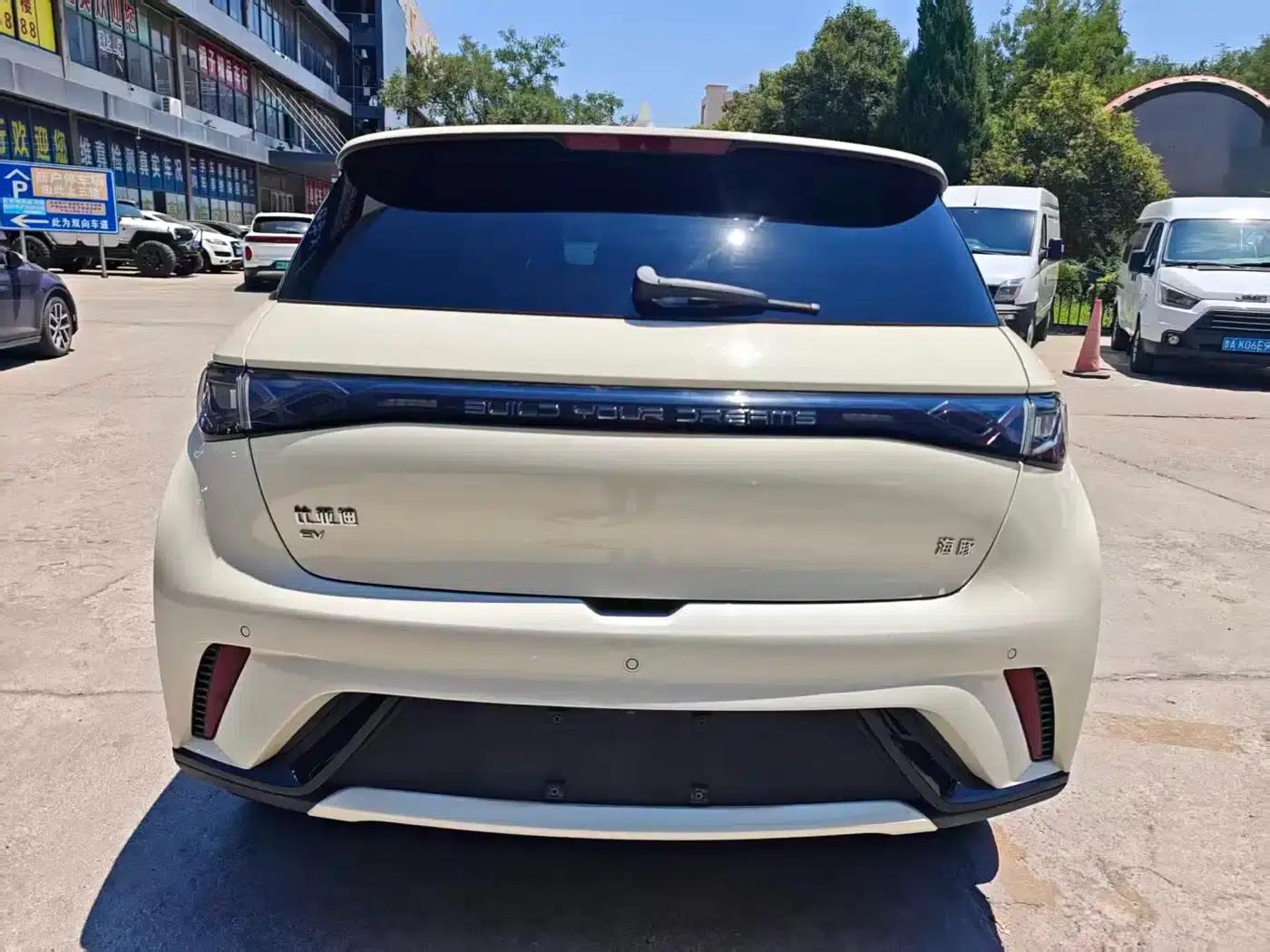 Dolphin 2024 Glory Edition 420km Fashion Edition — миниатюра 4