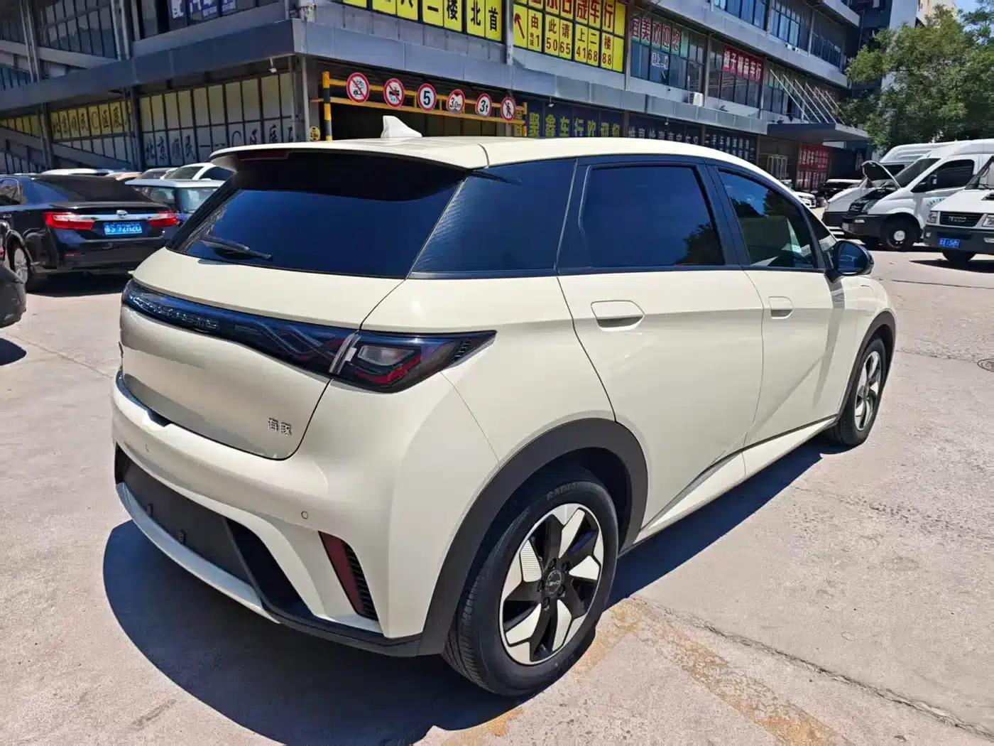 Dolphin 2024 Glory Edition 420km Fashion Edition — миниатюра 5