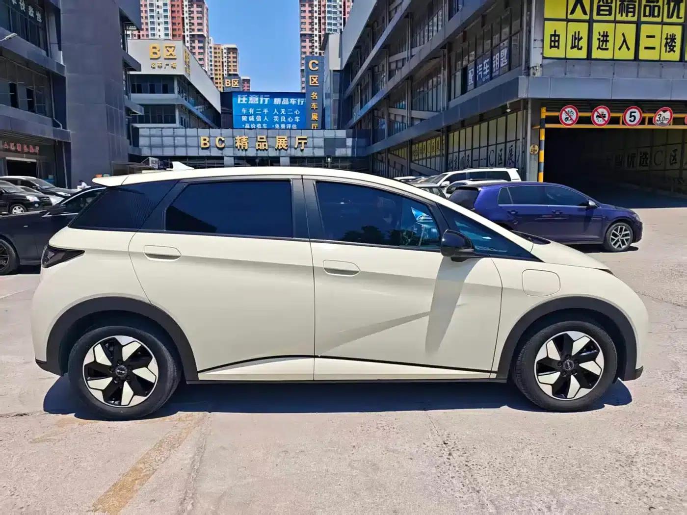 Dolphin 2024 Glory Edition 420km Fashion Edition — миниатюра 6