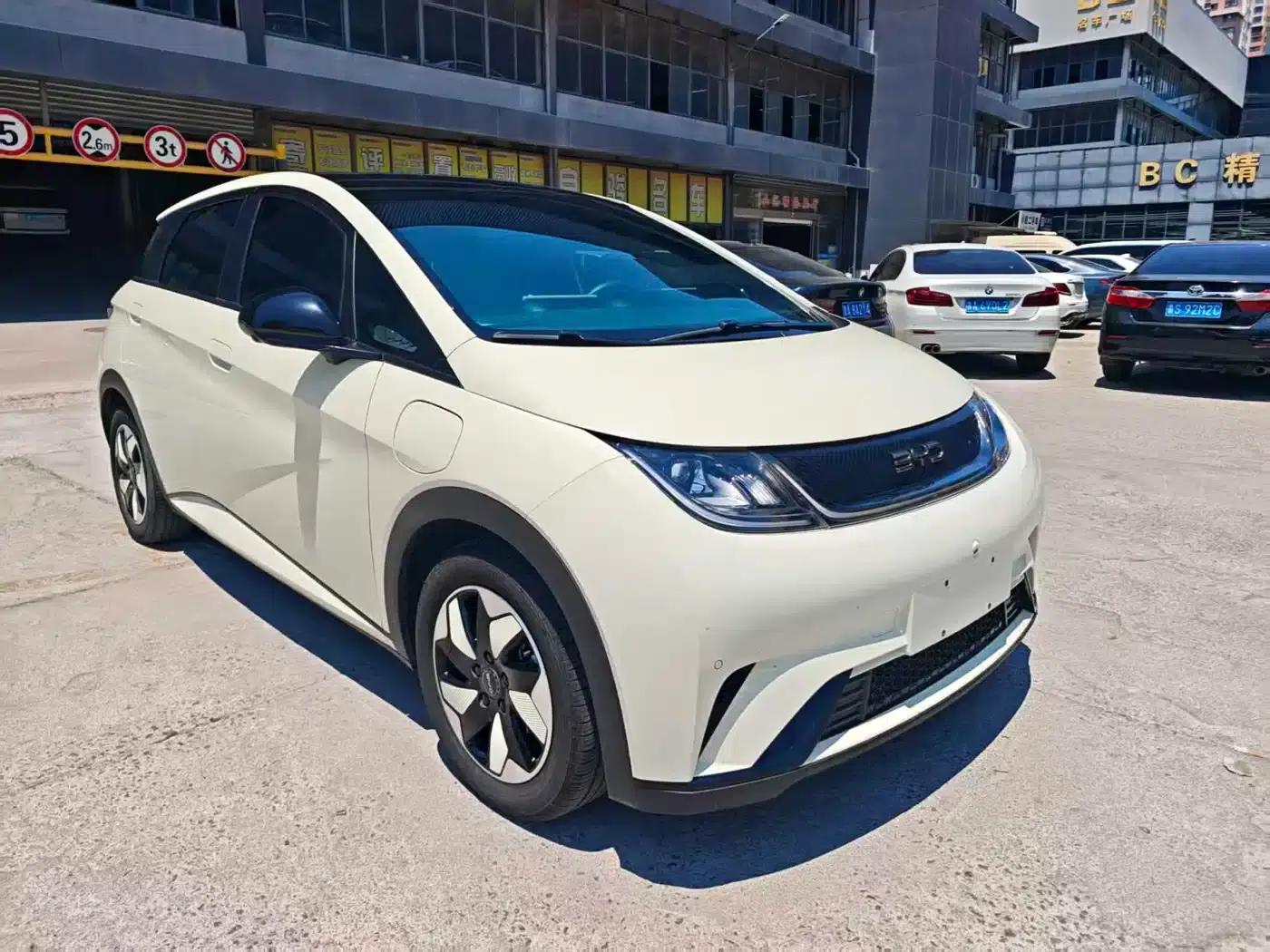 Dolphin 2024 Glory Edition 420km Fashion Edition — миниатюра 7