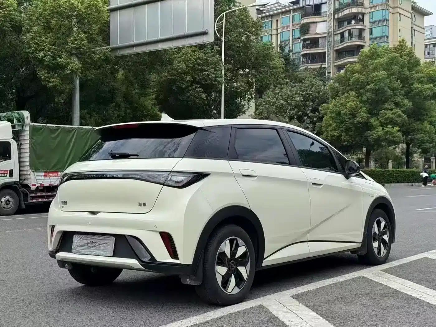 Dolphin 2024 Glory Edition 420km Fashion Edition — миниатюра 3