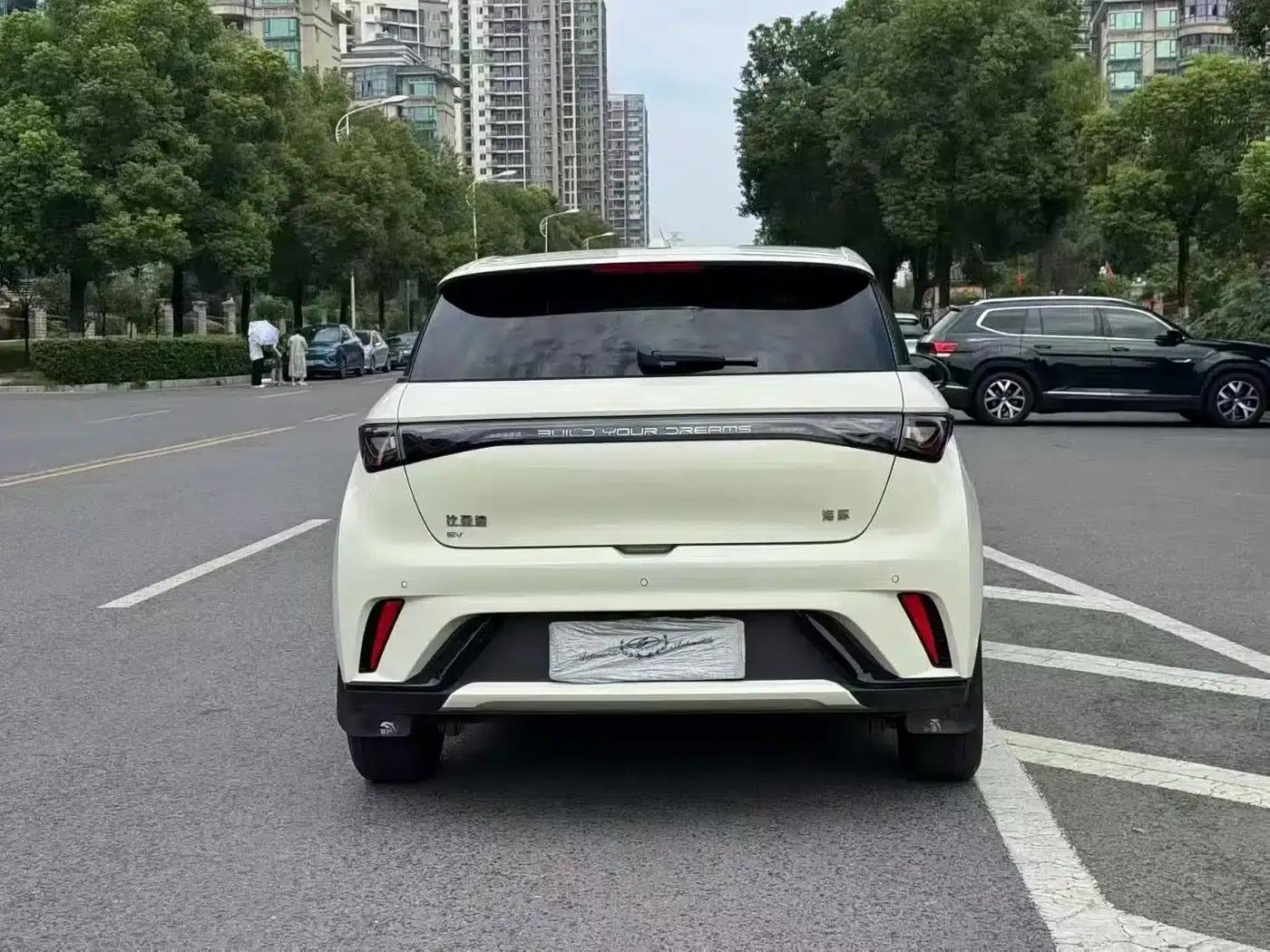Dolphin 2024 Glory Edition 420km Fashion Edition — миниатюра 4