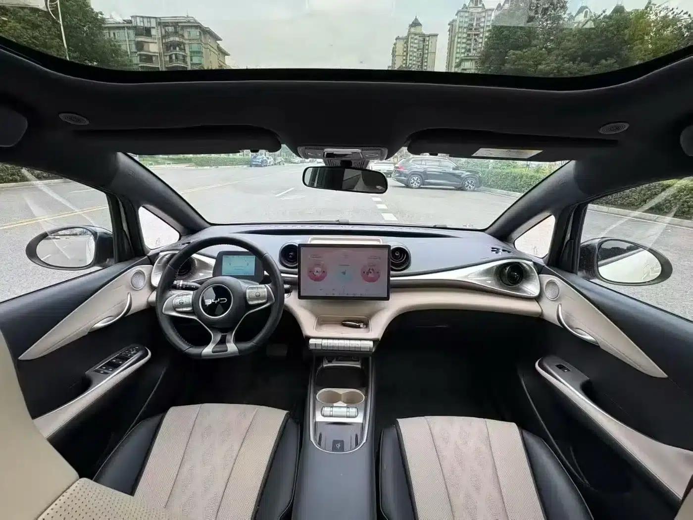 Dolphin 2024 Glory Edition 420km Fashion Edition — миниатюра 7