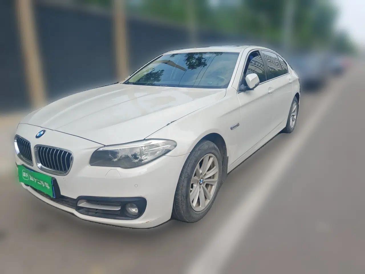 BMW 5 Series 2014 520Li Elegant Model — миниатюра 1