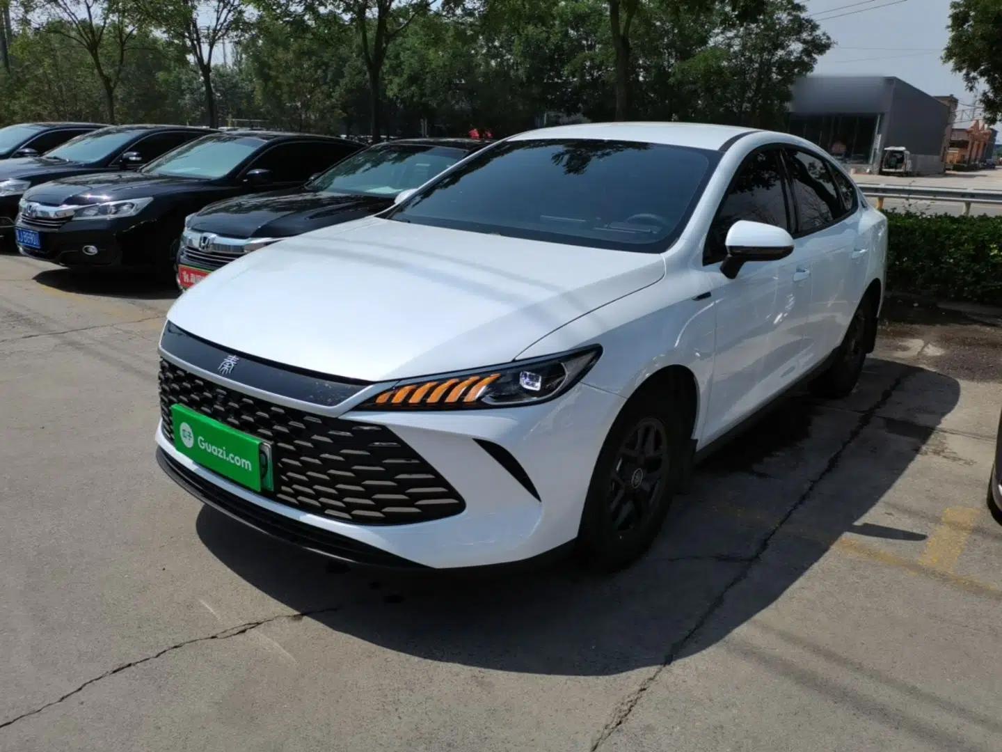 BYD Qin PLUS 2025 DM-i Smart Drive 55KM Leading Model — миниатюра 1