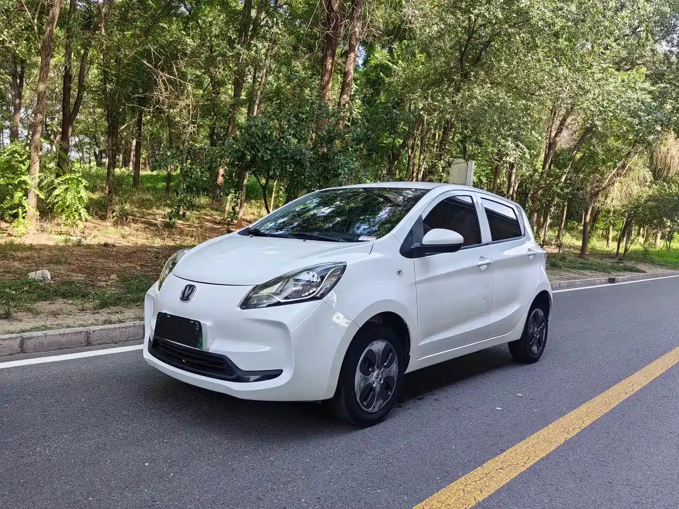 Changan Benben E-Star 2021 National Edition Heartfelt Edition Lithium Iron Phosphate (31.86kWh) — миниатюра 1