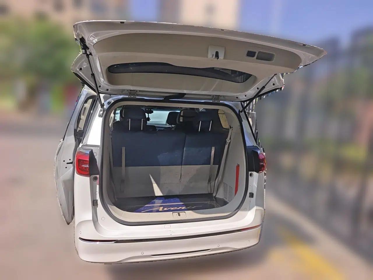 Buick GL8 2020 ES Land Cruiser 653T Comfort Edition — миниатюра 19