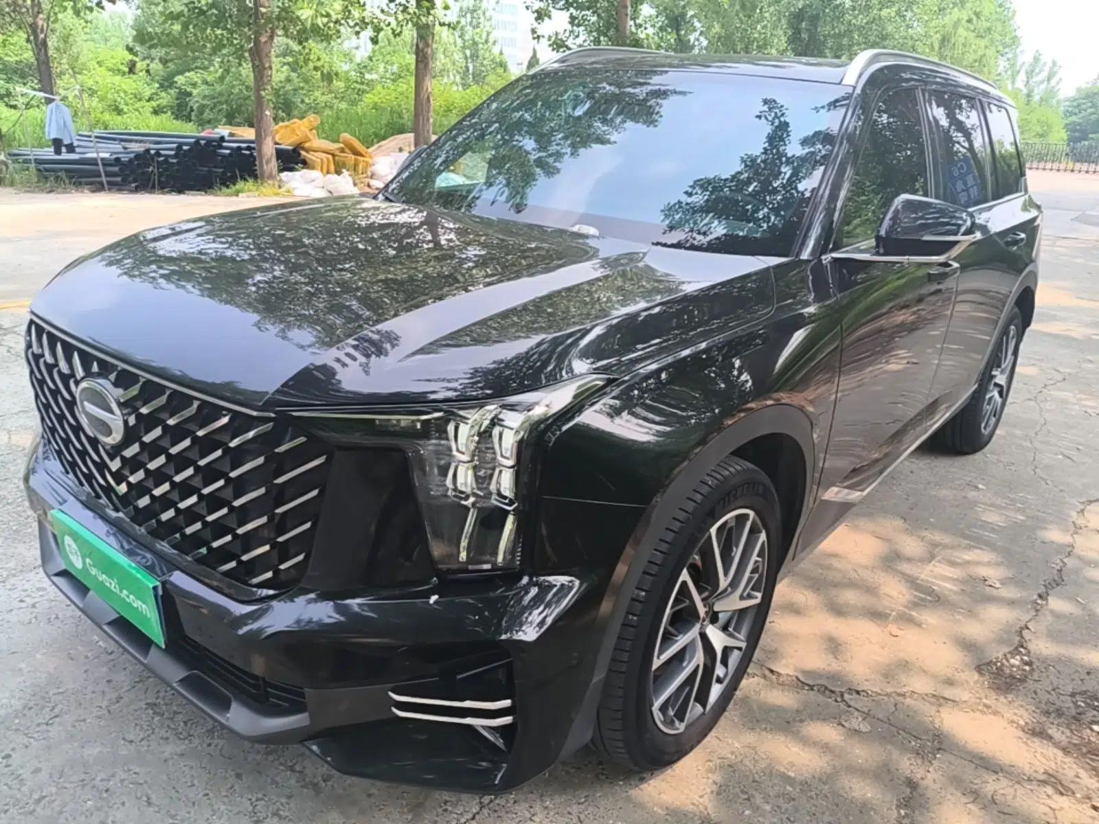 GAC Trumpchi GS8 2022 LINGHANG Series 2.0 TGDI Two-Wheel-Drive Luxury Edition (7 Seats) — миниатюра 1