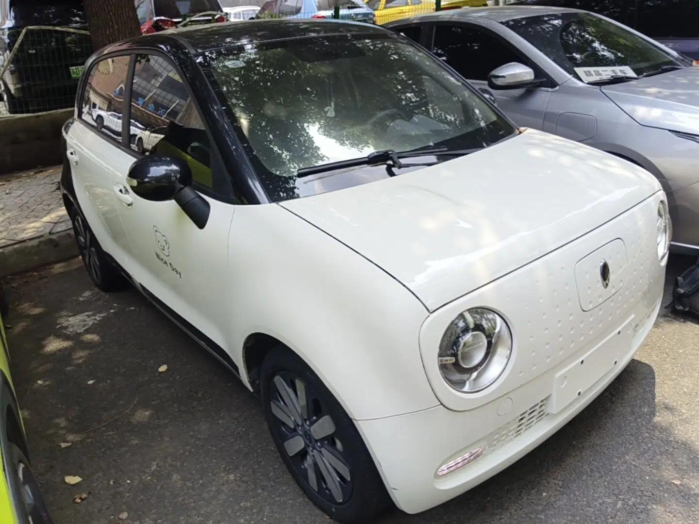 ORA Black Cat 2021 351 km Standard Version — миниатюра 3