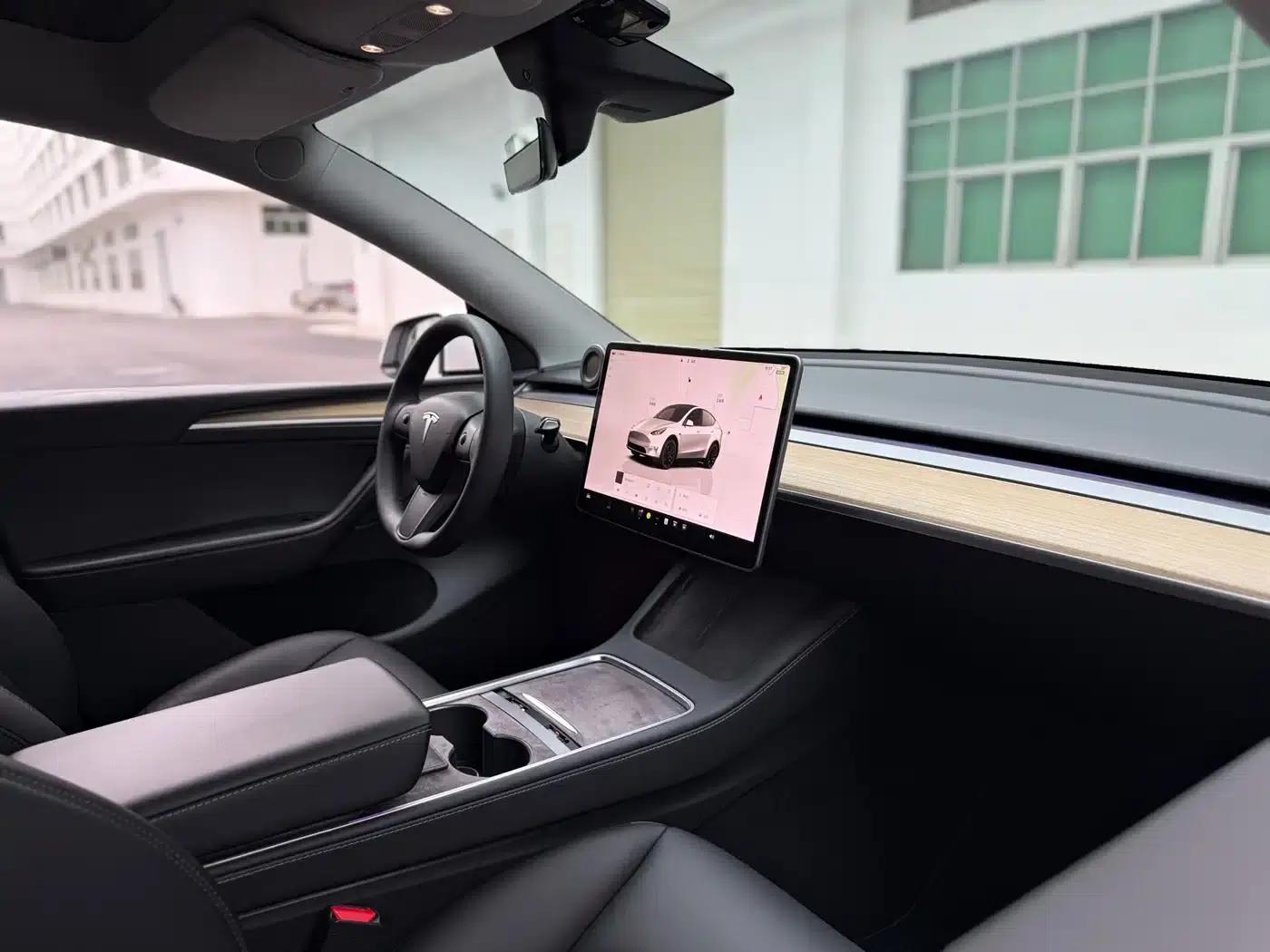 Model Y 2022 Performance All-Wheel Drive — миниатюра 19